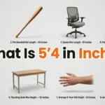 What Is 5’4 in Inches? Exact Height Conversion, Examples & Visual Guide