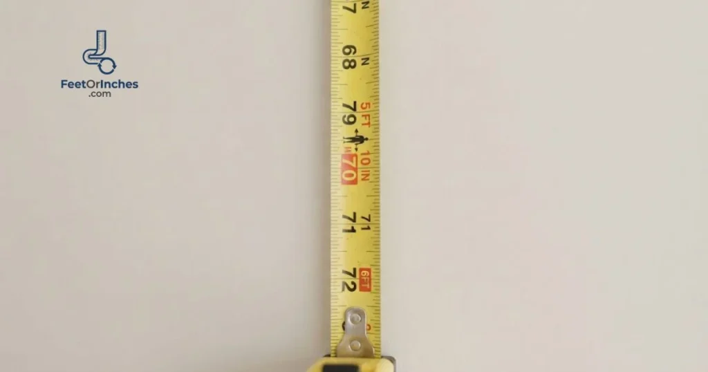 About 5 Feet 10 Inches of Measuring Tape