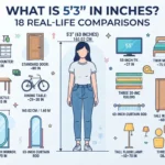 What Is 5 3 in Inches? 18 Real-Life Comparisons